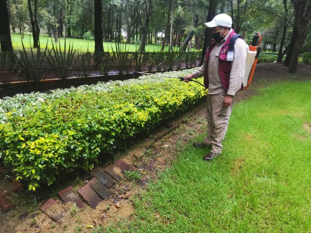 Jardín Botánico Tizatlán